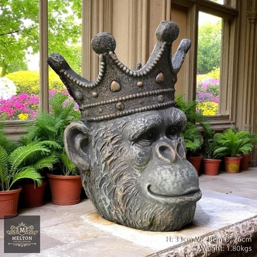 Large gorilla monkey head - monkey,