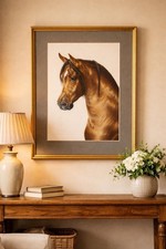 Vintage bay arabian - arabian, horse