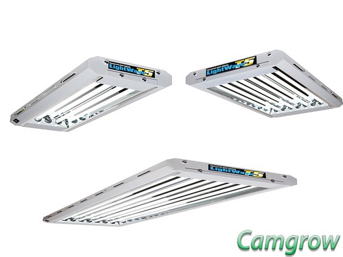 Lightwave 2ft 4ft with - t5,