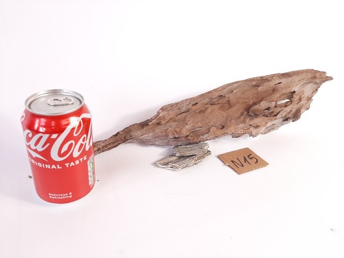 Fish tank driftwood aquarium - fish,