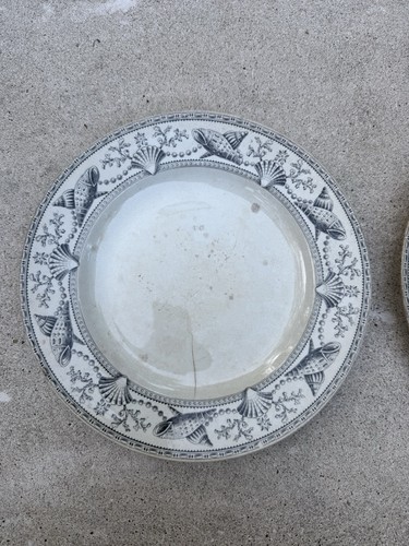Rare nantasket clovelly - nantasket,