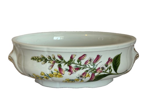 Spode stafford flowers genista - spode,