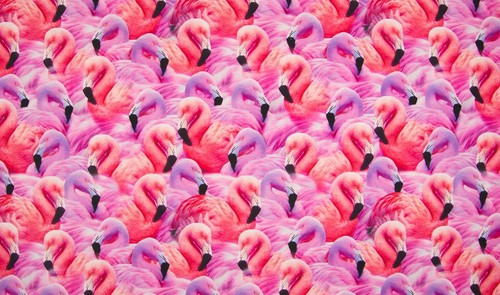 Luxury digital printed - printed, cotton