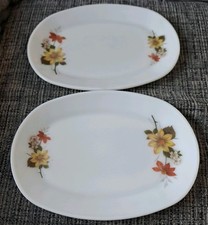 JAJ Pyrex Autumn Glory Steak