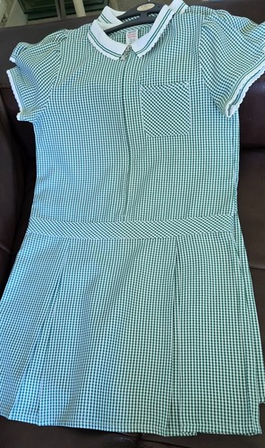 Green girls gingham school - green,