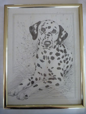 Pollyanna Pickering Dalmation