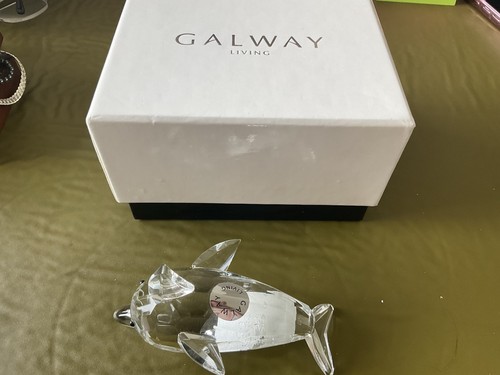 Galway living crystal dolphin - galway,
