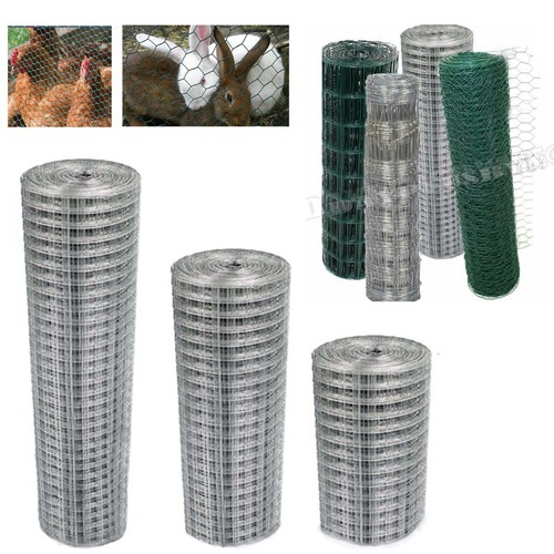Chicken wire mesh - mesh, fencing