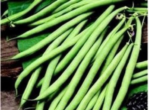 Climbing french bean - ,