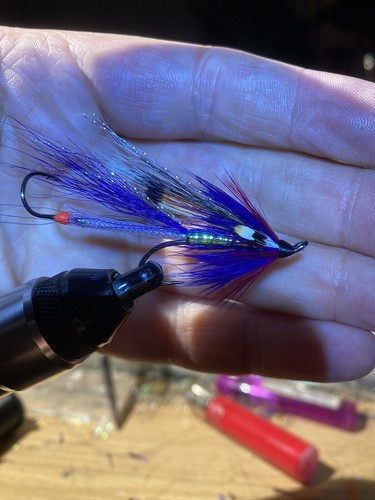 Fly fishing sea trout sewin - fishing,