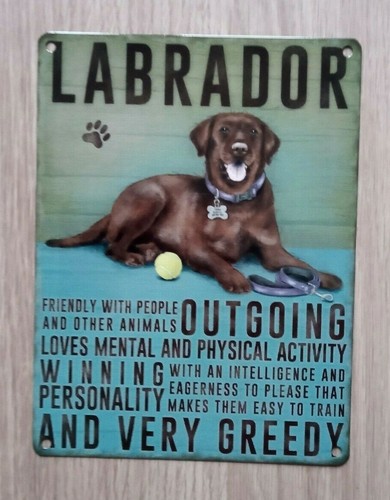 Labrador dog metal - labrador,