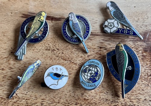 Vintage budgerigar society - budgerigar, &