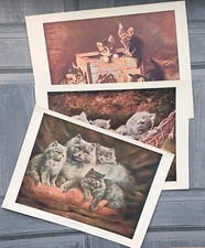 Set of 3 Antique Tabby Persian