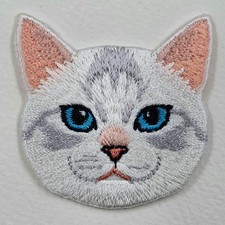 British Short hair White Cat