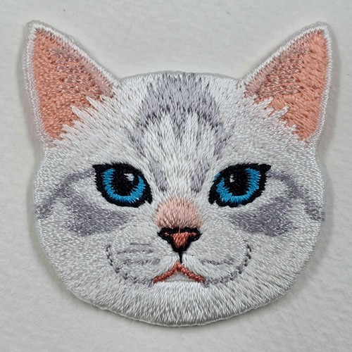 British short hair white - short, cat