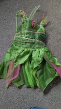 Fairy dress bundle with shoes