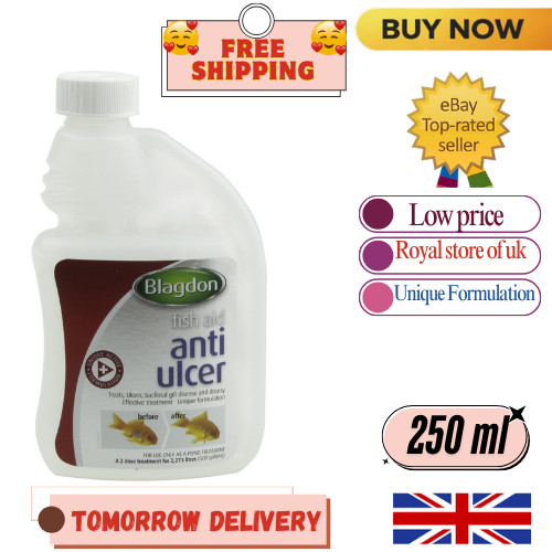 Blagdon anti ulcer - anti-ulcer, treatment