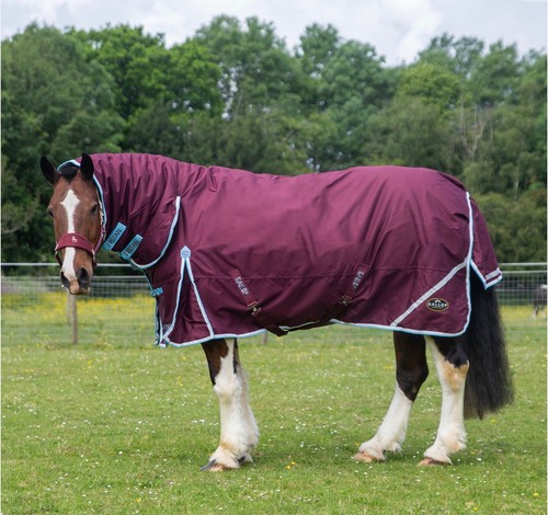 Gallop trojan xtra duraproof - trojan,