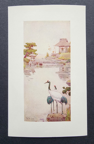 Antique 1908 print the - antique,