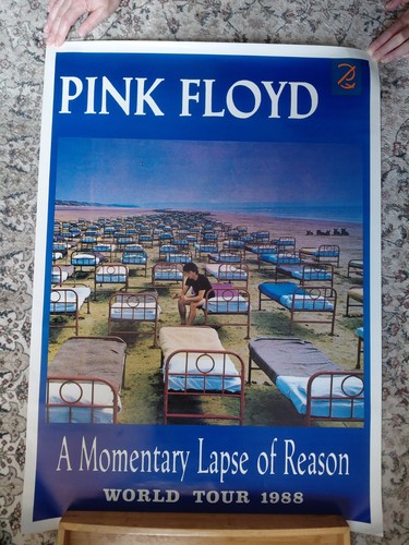 Pink floyd momentary - floyd, lapse