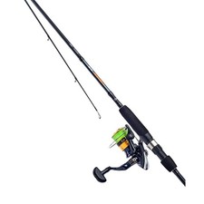 Daiwa D-Spin Combo