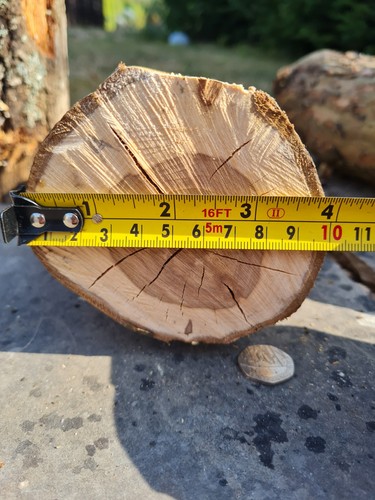 Apple log for wood - apple,