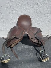 Crosby "Prix StGeorge Dressage