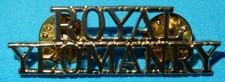 ROYAL YEOMANRY REGIMENT ANODISED SHOULDER TITLE PATCH BADGE GENUINE
