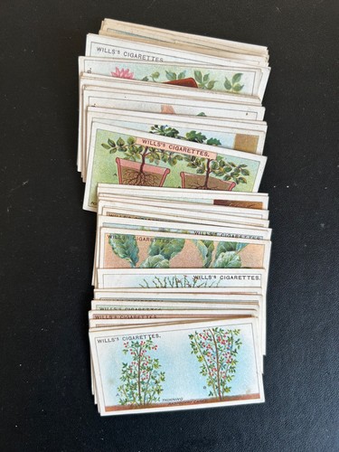Full set wills - set, gardening