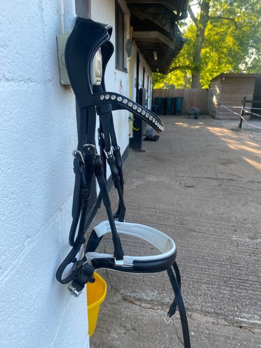 Acavallo black bridle