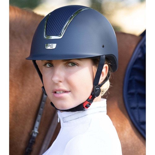 Premier equine centauri horse - equine,