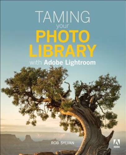 Taming your photo - your, with