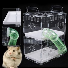 Transparent Guinea Pig Hamster