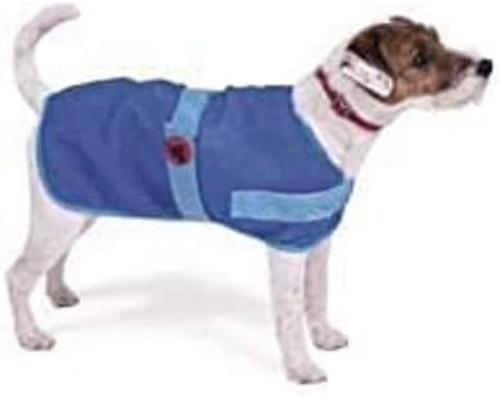Cooling summer dog - cooling,