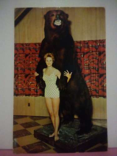 Harrisburg giant kodiak - pa,