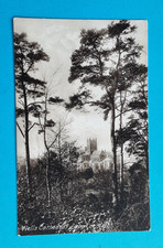 SOMERSET, WELLS CATHEDRAL FROM TOR HILL, PINE TREES, EARLY 20TH C, UNPOSTED