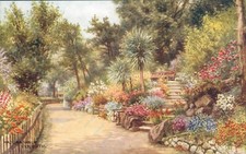 Exmouth madeira walk J salmon