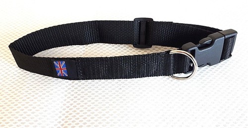 Magnetic bio healing dog - bio,
