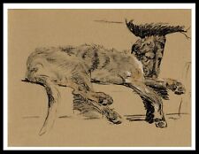 IRISH WOLFHOUND SLEEPING DOG