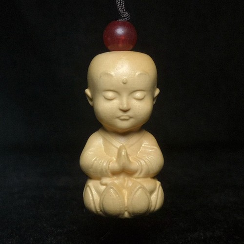 Inch japanese boxwood - 1.6,