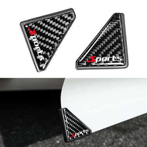 Carbon fiber car door - carbon,