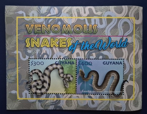 Guyana 2024 venomous snakes - guyana, /