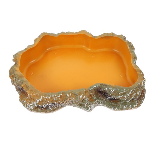 Reptile feeding dish corner - reptile,