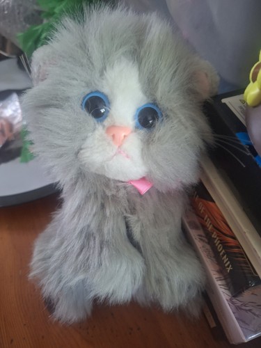 Vtg 2000 dsi kitty - 2000,