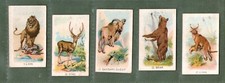 Chinese cigarette cards CHINA