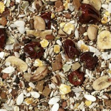 Johnston & Jeff Low Sunflower Mix African Grey Parrot Food Bird Seed 5kg