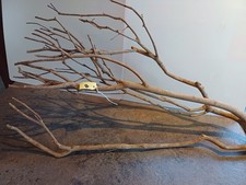 Talawa wood - 60-80cm -