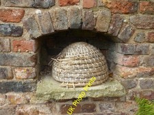 Photo 6x4 bee skep - photo,