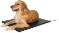 Lectro-Kennel Heated Outdoor