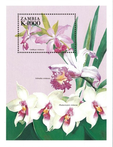 Zambia 1998 orchids flowers - 1998,